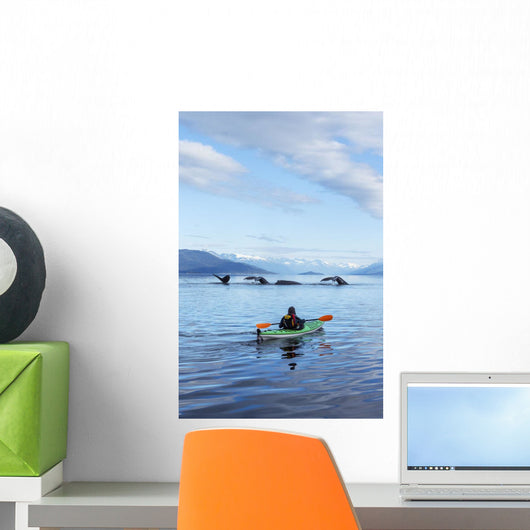 A Sea Kayaker Watches As A Group Of Humpback Whales Lift Their Flukes Wall Mural