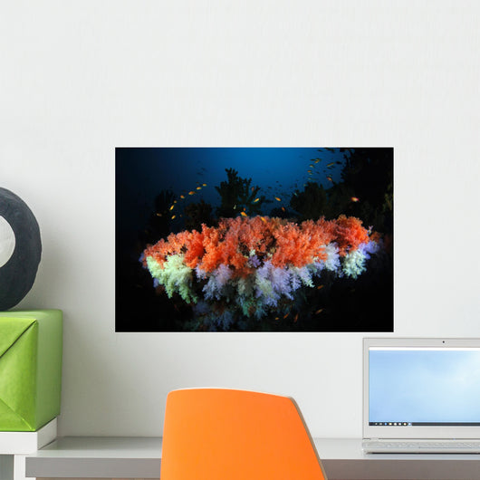 Rainbow Wall Mural