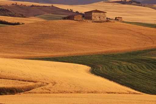 Tuscan Countryside Wall Decal