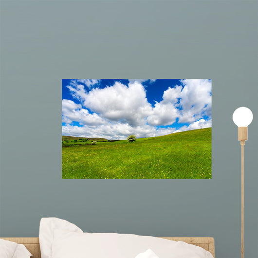 Field Grass and Cloudy