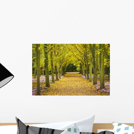 Cyclamen Flowers In Bloom Beside Avenue Of Beech Trees Wall Mural