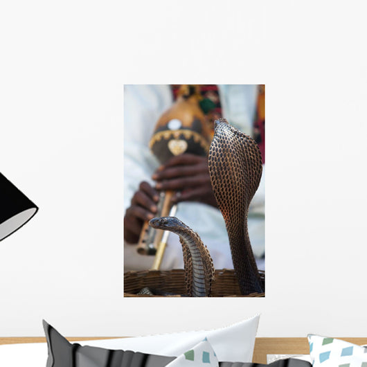 Snake Dancing To Flute Music Wall Mural