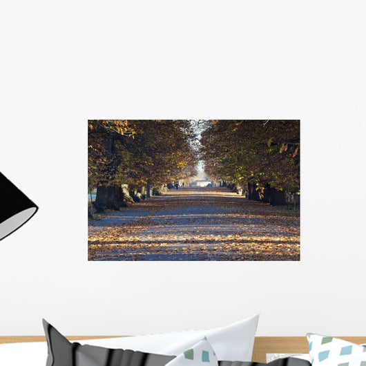 Autumn Leaves On Path In Greenwich Park Wall Mural