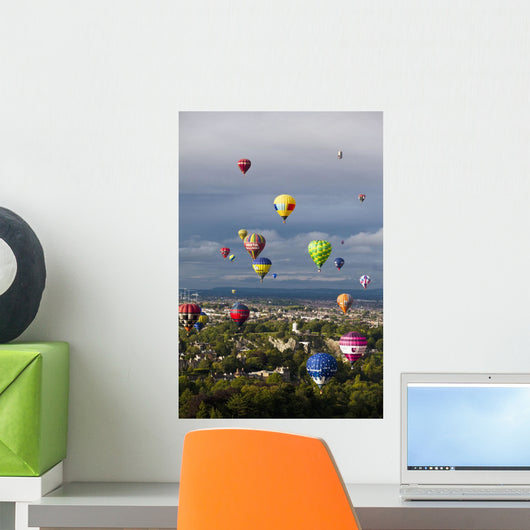 Bristol Balloon Fiesta Wall Mural