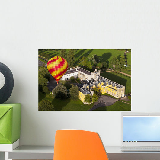 Bristol Balloon Fiesta Wall Mural