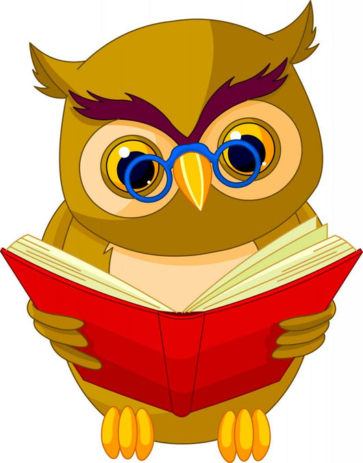 Wise Owl Wall Decal