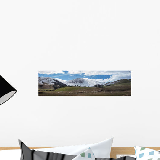 Sheep grazing Wall Mural