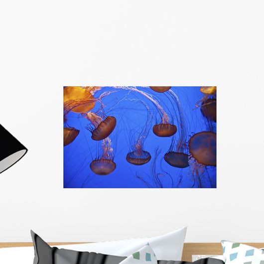 Jellyfish In Aquarium Wall Mural
