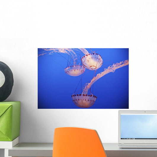 Jellyfish In Aquarium Wall Mural