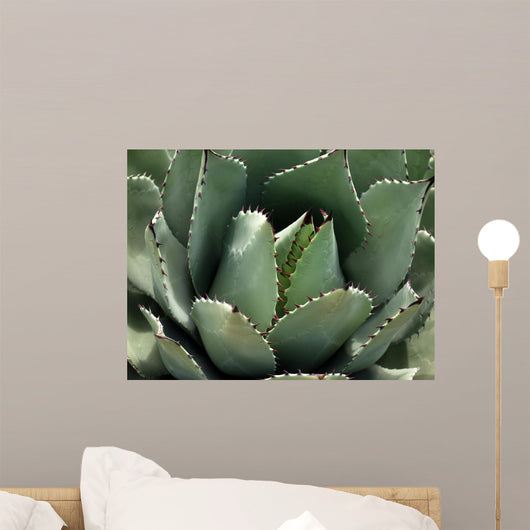 Cactus up Desert Museum Wall Mural