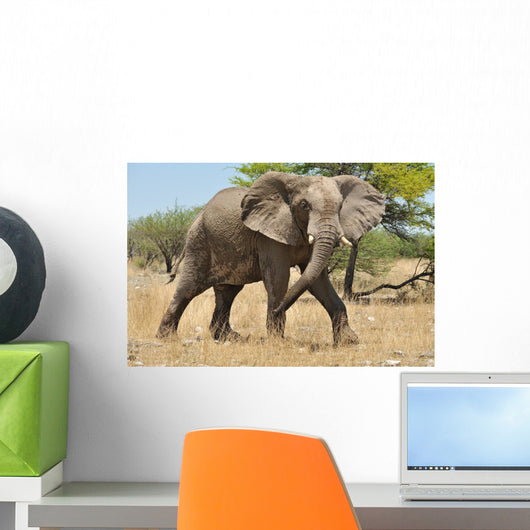 Elephant Wall Mural