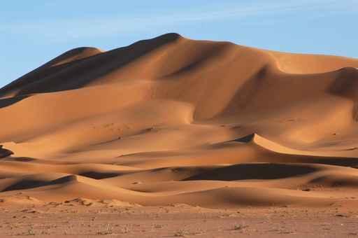 Sahara Desert Wall Decal Design 4