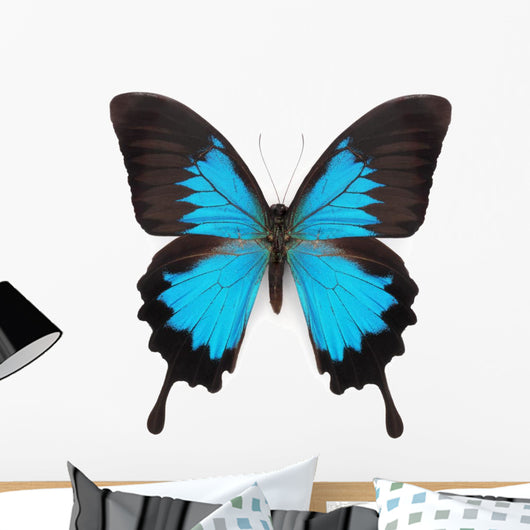 Blue butterfly Wall Decal