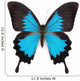 Blue butterfly Wall Decal