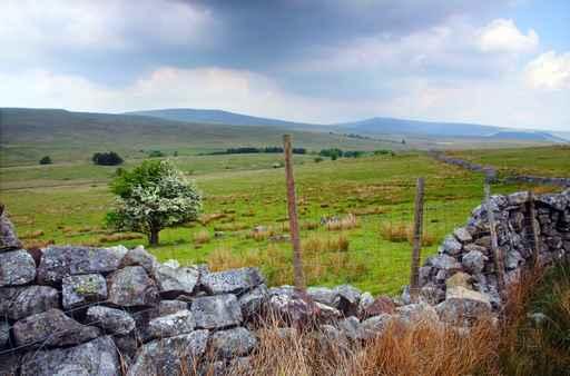 Typical British Uplands Scene Wall Decal