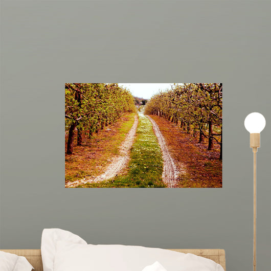 Orchards Wall Mural