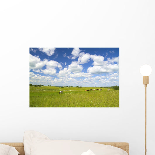 Rural Landscape with Cows