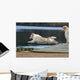 spectacular dive golden retriever Wall Mural