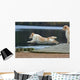 spectacular dive golden retriever Wall Mural