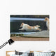spectacular dive golden retriever Wall Mural