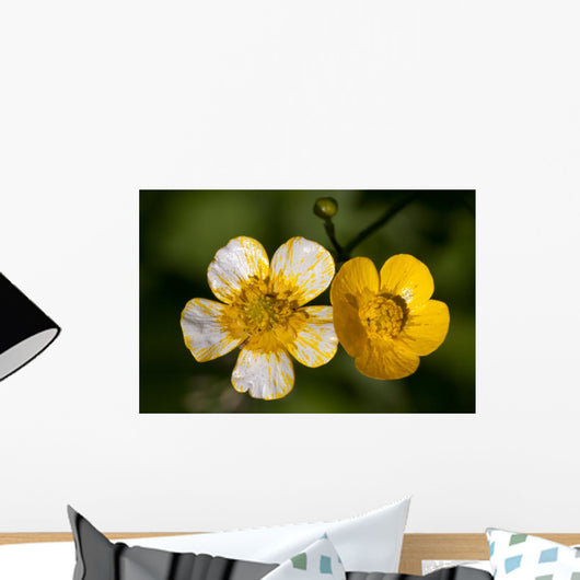Two Tones Two Flowers