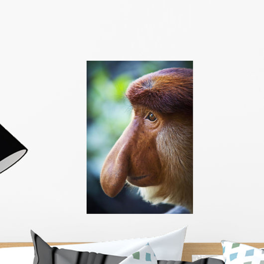 Proboscis monkey ;Borneo Wall Mural