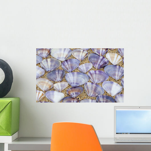 Seashells laying Wall Mural