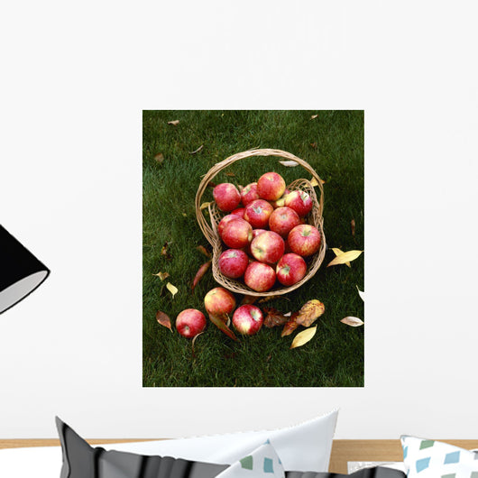Agriculture - Fresh Honey Crisp apples Wall Mural