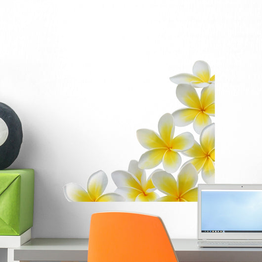 Plumeria Wall Decal