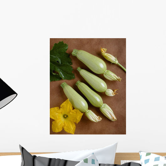Agriculture - Grey zucchini on a copper surface Wall Mural