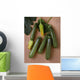 Agriculture - Green zucchini on a stone surface Wall Mural