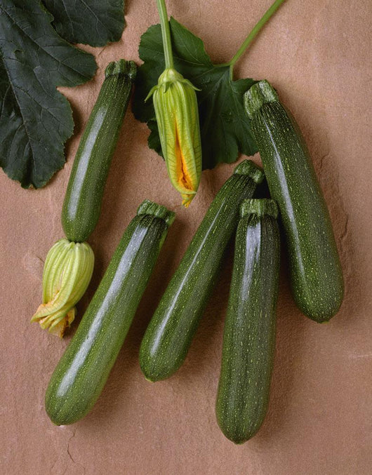 Agriculture - Green zucchini on a stone surface Wall Mural