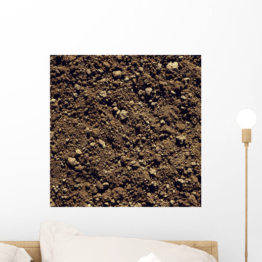 Agriculture - Closeup of clay soil / Monterey County, California, USA Wall Mural