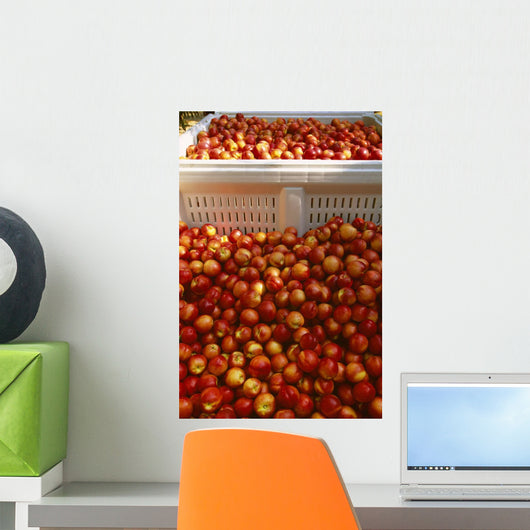 Agriculture - Freshly harvested ripe nectarines Wall Mural