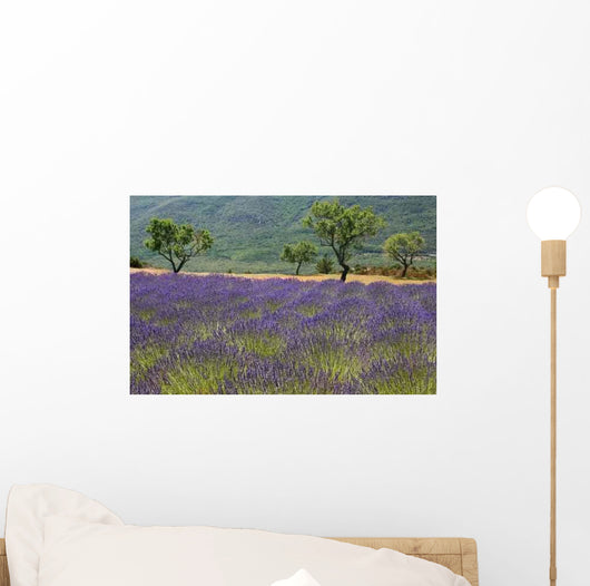 Provence Wall Decal