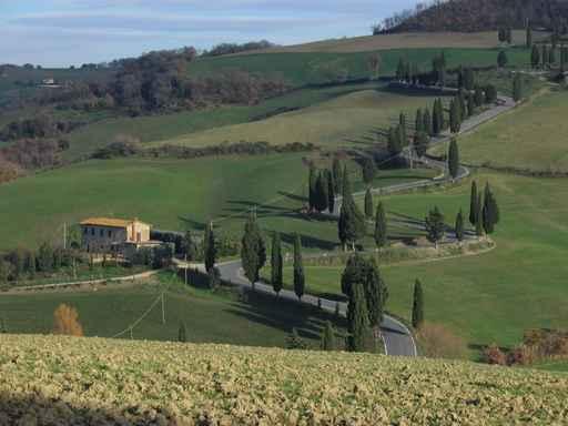 Tipica Strada Toscana Wall Decal