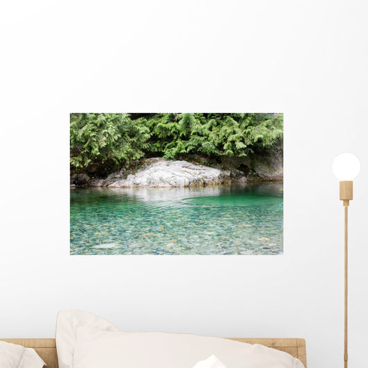 Peaceful Backwater Wall Mural