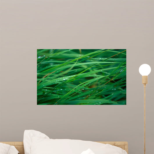 700-01173361 Wall Mural
