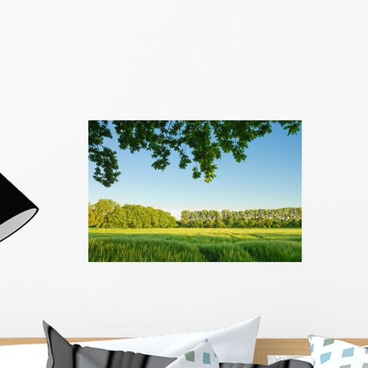 Summer landscape, Cornfield Wall Mural