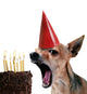 happy birthday! Wall Decal