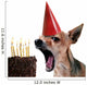 happy birthday! Wall Decal