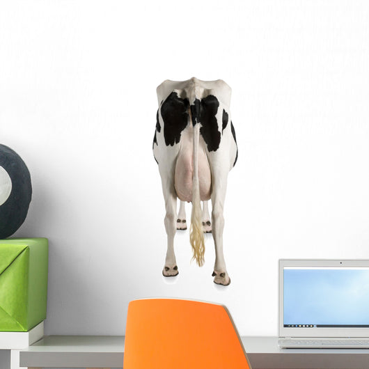 Holstein Cow Against White Background Wall Decal