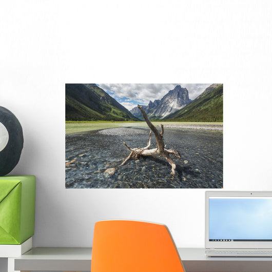 A Clear Stream Flows Into Glacier Lake Wall Mural
