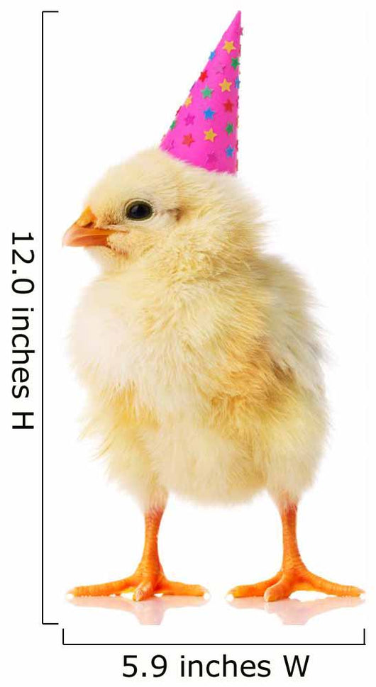 Yellow Chicken With a Birthday Hat on Wall Decal