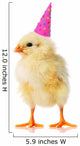 Yellow Chicken With a Birthday Hat on Wall Decal