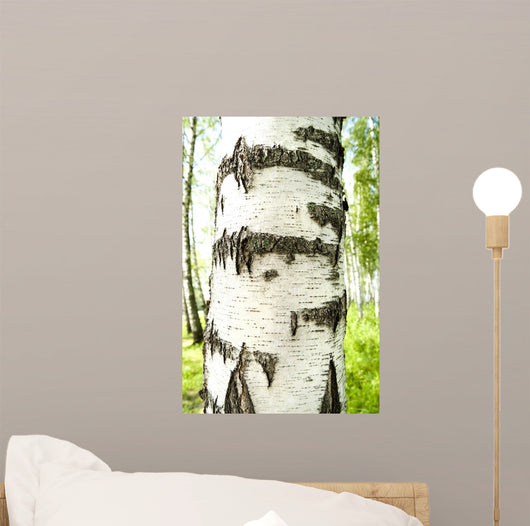 Birch