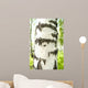 Birch