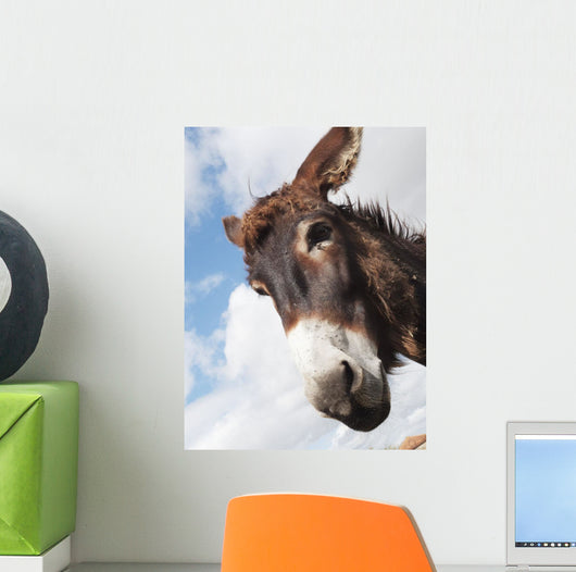 Donkey's head against a blue sky with cloud Wall Mural