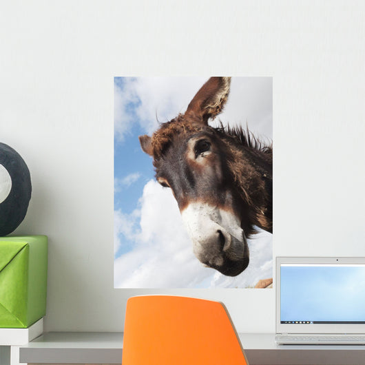 Donkey's head against a blue sky with cloud Wall Mural
