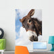 Donkey's head against a blue sky with cloud Wall Mural